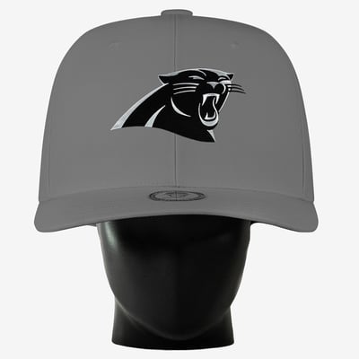 Carolina Panthers Noggin Boss Unisex Big Hat - Gray
